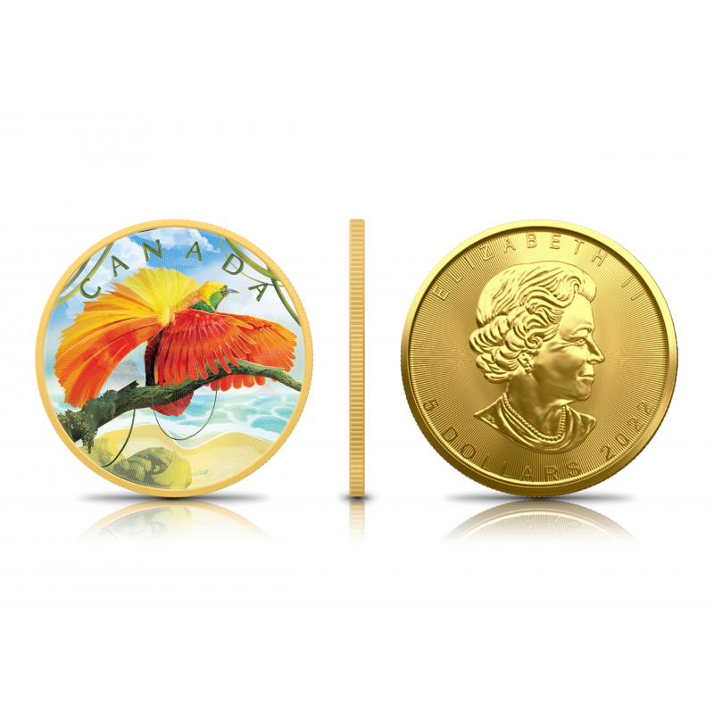 Stříbrná sada mincí 1 oz Maple Leaf Colours Of Paradise 2022 Pozlacená, Kolorovaná