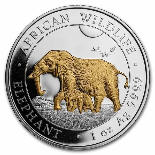Stříbrná mince Slon African Wildlife 1 oz 2022 zlacený