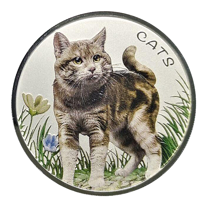 Stříbrná mince 1 oz Kočka typ 1 2022 Kolorovaná Proof