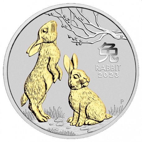 Stříbrná mince 1 oz Rok Králíka Lunární série III. 2023 Pozlacená