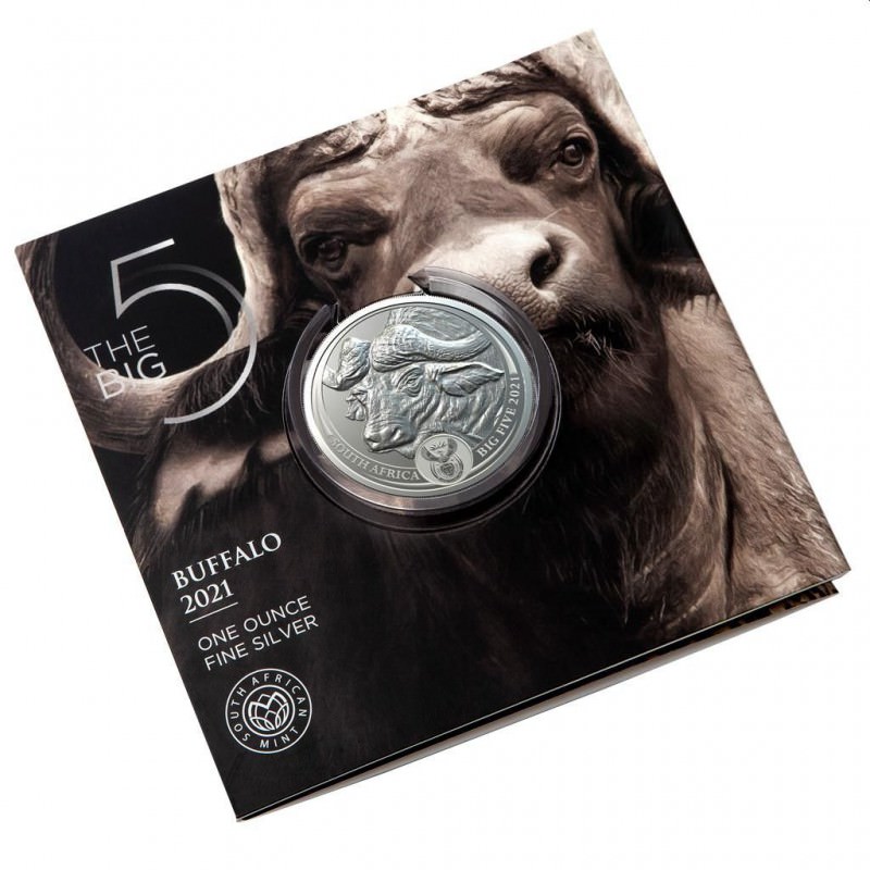  Stříbrná mince Sam Big Five Buffalo Rand 5 1 oz 2021