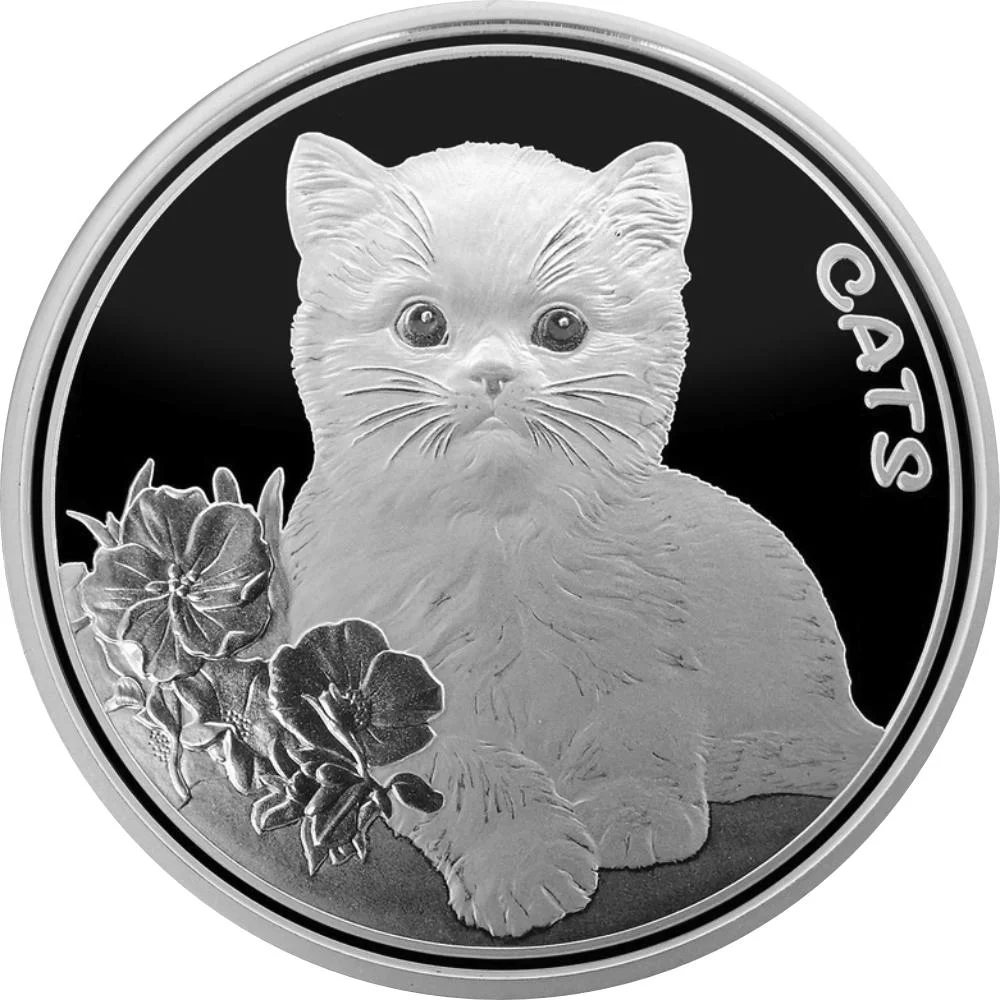 Stříbrná mince 1 oz Kočka typ 2 2022 Proof