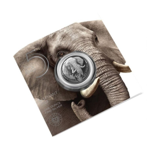  Stříbrná mince Sam Big Five Elephant Rand 5 1 oz 2021