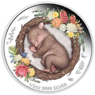 Stříbrná mince 1/2 oz Wombat Dreaming Down Under 2021 Proof