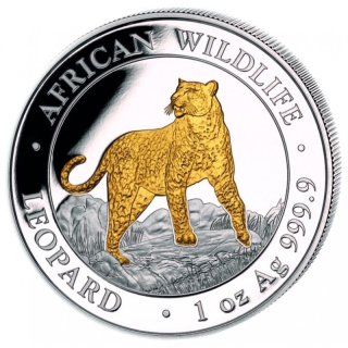 Stříbrná mince 1 oz Leopard African Wildlife Somalian 2022 zlacený