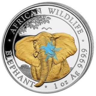  Stříbrná mince Slon 1 oz 2021 zlacená