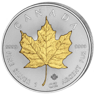 Stříbrná mince Maple Leaf  1 oz zlacená